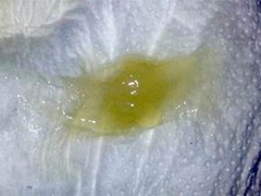 KARUP S OLDER WOMEN Food You Can T Eat While Pregnant
